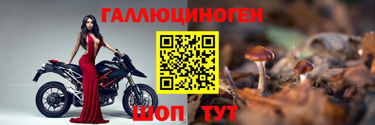 Псилоцибиновые грибы Psilocybe  Вход с VPN  Бугульма 